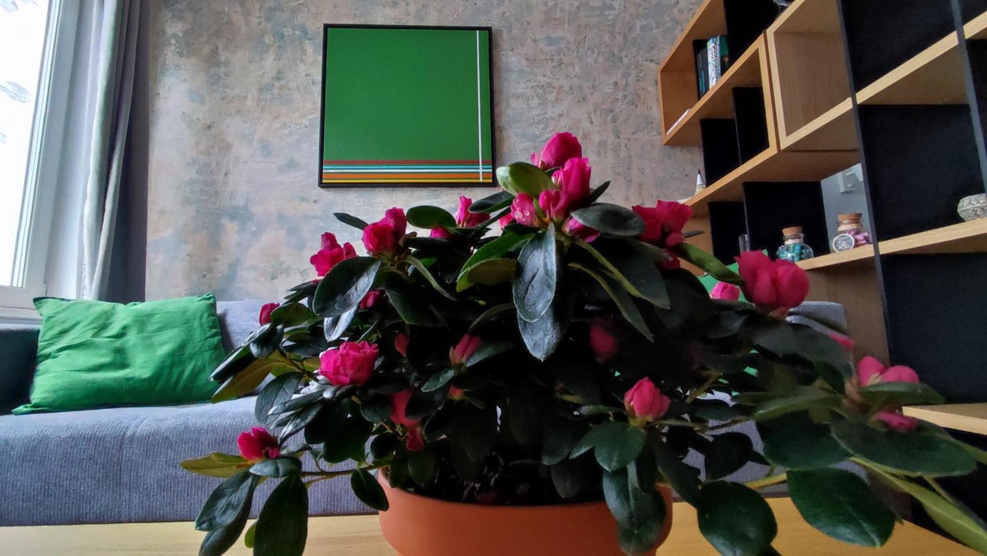 Isac 15 Central Apartment Kluż-Napoka Zewnętrze zdjęcie