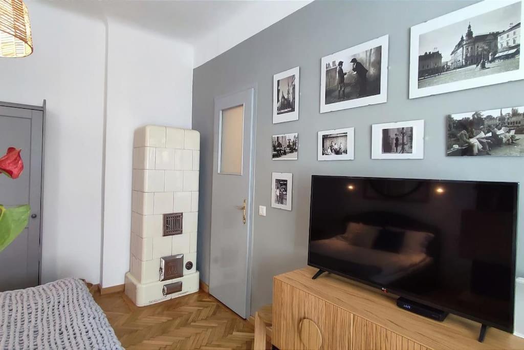 Isac 15 Central Apartment Kluż-Napoka Zewnętrze zdjęcie